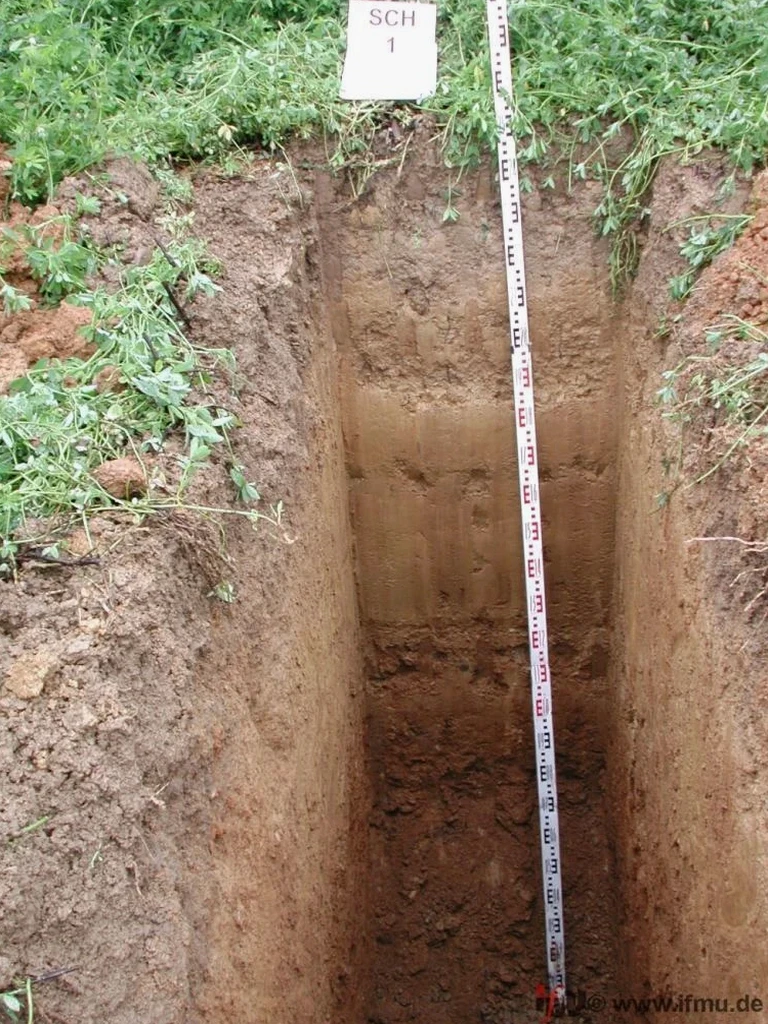 Exploratory Test Pit Services in Brownsville Texas